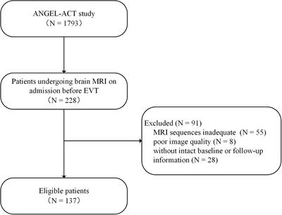 Effect of Cerebral Small Vessel Disease Burden on Outcomes in Patients With Acute Ischemic Stroke Receiving Endovascular Treatment